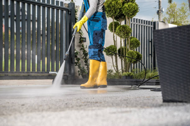 Best Affordable Pressure Washing  in Elleale, ND