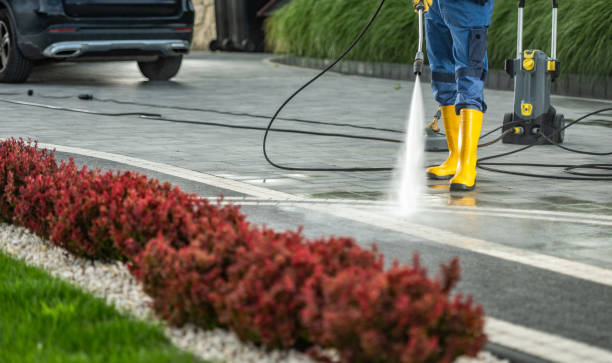 Best Pressure Washing Contractors  in Elleale, ND